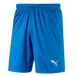 Puma - Men's Liga Core Shorts (703436 02)